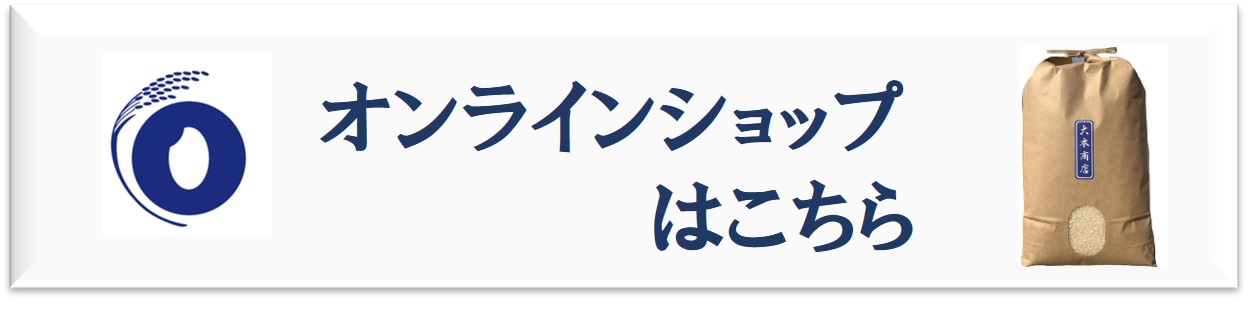 夏の新作メニュー