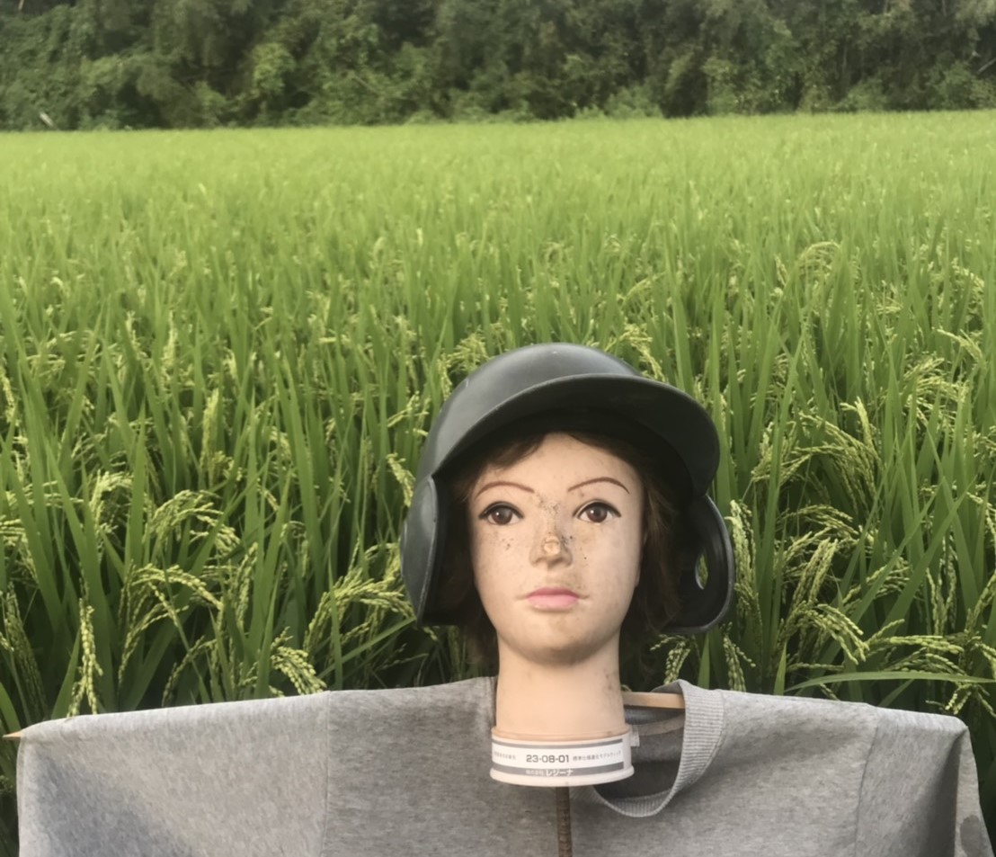 ご購入はこちら